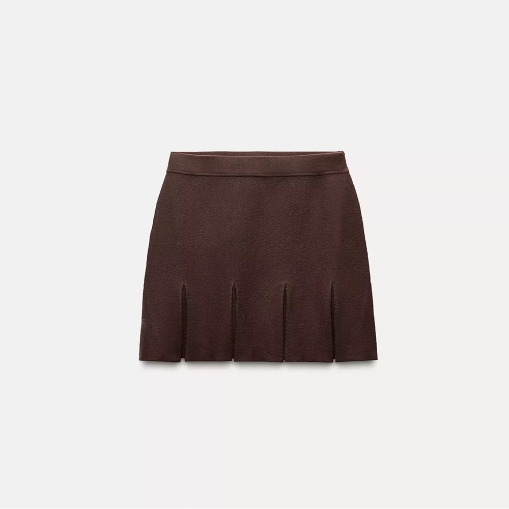 Zara Brown Pleated Skirt